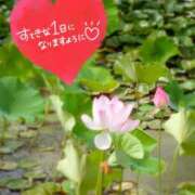 ヒメ日記 2026/09/01 06:16 投稿 奥村みさと MADAM