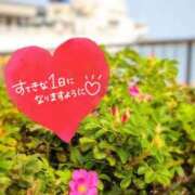 ヒメ日記 2026/09/06 07:31 投稿 奥村みさと MADAM