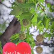ヒメ日記 2026/09/13 07:31 投稿 奥村みさと MADAM