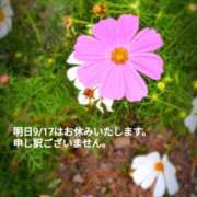 ヒメ日記 2026/09/16 14:31 投稿 奥村みさと MADAM