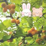 ヒメ日記 2026/09/22 15:31 投稿 奥村みさと MADAM
