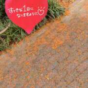 ヒメ日記 2026/09/24 06:16 投稿 奥村みさと MADAM