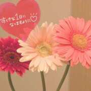 ヒメ日記 2026/09/27 07:01 投稿 奥村みさと MADAM