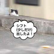 ヒメ日記 2026/09/27 17:31 投稿 奥村みさと MADAM