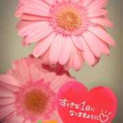 ヒメ日記 2026/10/20 06:16 投稿 奥村みさと MADAM