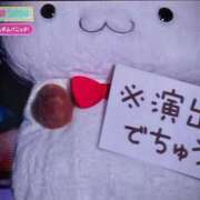 ヒメ日記 2026/07/01 12:01 投稿 りの CUTE
