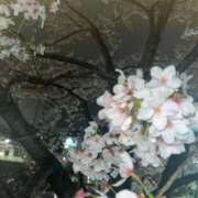ヒメ日記 2026/03/31 06:01 投稿 ユリナ アリスマリオン