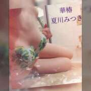 ヒメ日記 2026/10/01 07:16 投稿 夏川みつき 華椿