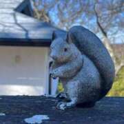 ヒメ日記 2026/02/10 13:16 投稿 篠崎えりな MADAM