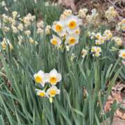 ヒメ日記 2026/02/11 11:16 投稿 篠崎えりな MADAM