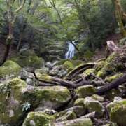 ヒメ日記 2026/10/11 12:31 投稿 篠崎えりな MADAM