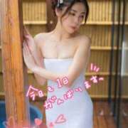 ヒメ日記 2025/12/17 08:16 投稿 藤島りょうこ MADAM