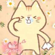 ヒメ日記 2026/03/15 06:31 投稿 藤島りょうこ MADAM