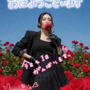 ヒメ日記 2026/03/29 07:16 投稿 藤島りょうこ MADAM