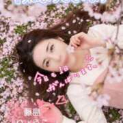 ヒメ日記 2026/04/02 07:01 投稿 藤島りょうこ MADAM