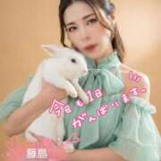 ヒメ日記 2026/04/29 07:16 投稿 藤島りょうこ MADAM