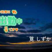 ヒメ日記 2025/12/17 05:16 投稿 筧しずか MADAM