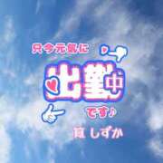 ヒメ日記 2025/12/18 13:16 投稿 筧しずか MADAM