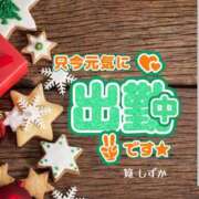 筧しずか 【出勤連絡】本日も宜しくお願い致します(???ω???) MADAM