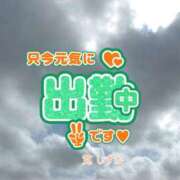 ヒメ日記 2026/01/28 14:01 投稿 筧しずか MADAM