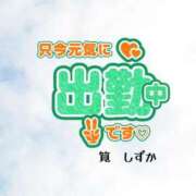 ヒメ日記 2026/02/16 12:31 投稿 筧しずか MADAM