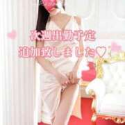 ヒメ日記 2026/02/28 00:31 投稿 筧しずか MADAM