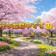 ヒメ日記 2026/03/28 12:46 投稿 筧しずか MADAM