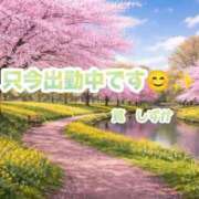 ヒメ日記 2026/03/29 12:46 投稿 筧しずか MADAM