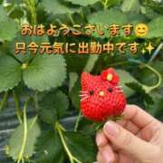 ヒメ日記 2026/04/01 05:31 投稿 筧しずか MADAM