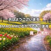 ヒメ日記 2026/04/10 04:46 投稿 筧しずか MADAM