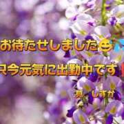 ヒメ日記 2026/04/18 13:16 投稿 筧しずか MADAM