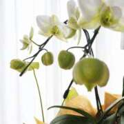 ヒメ日記 2026/04/29 10:16 投稿 筧しずか MADAM