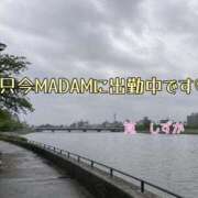 ヒメ日記 2026/04/29 12:16 投稿 筧しずか MADAM