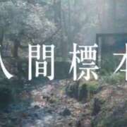 ヒメ日記 2025/12/23 06:16 投稿 五条まみ 華椿