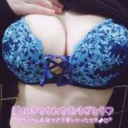 ヒメ日記 2026/02/18 14:01 投稿 五条まみ 華椿