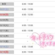 ヒメ日記 2026/03/06 06:31 投稿 五条まみ 華椿