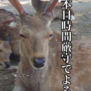 ヒメ日記 2026/05/24 06:01 投稿 五条まみ 華椿