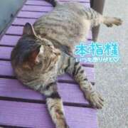 ヒメ日記 2026/05/30 12:46 投稿 五条まみ 華椿