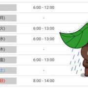 ヒメ日記 2026/06/28 07:31 投稿 五条まみ 華椿