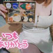 ヒメ日記 2026/08/26 07:46 投稿 五条まみ 華椿
