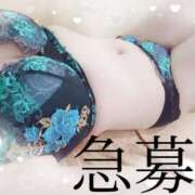 ヒメ日記 2026/09/20 15:31 投稿 五条まみ 華椿