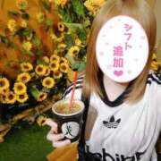 ヒメ日記 2026/10/08 13:31 投稿 五条まみ 華椿