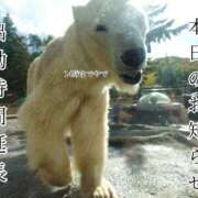 ヒメ日記 2026/10/18 06:01 投稿 五条まみ 華椿