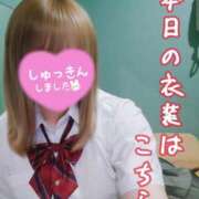 ヒメ日記 2026/10/21 07:46 投稿 五条まみ 華椿