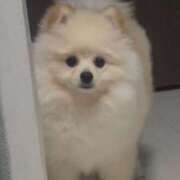 ヒメ日記 2026/04/05 13:46 投稿 みすず CUTE