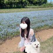 みすず ? CUTE