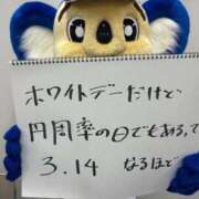 ヒメ日記 2026/03/14 13:31 投稿 モエ アリスマリオン