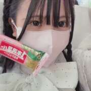 ヒメ日記 2026/02/20 10:16 投稿 なの CUTE