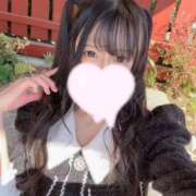 ヒメ日記 2026/02/22 11:31 投稿 なの CUTE