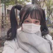 ヒメ日記 2026/03/23 06:31 投稿 なの CUTE